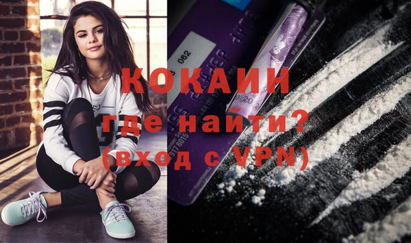 стаф Няндома