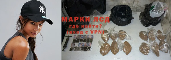 ПСИЛОЦИБИНОВЫЕ ГРИБЫ Осинники