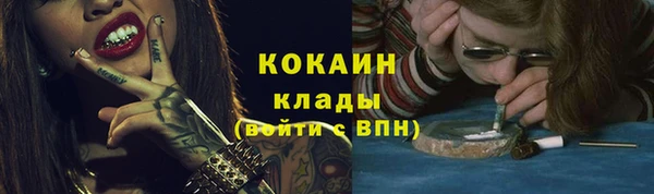 стаф Няндома