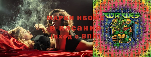стаф Няндома