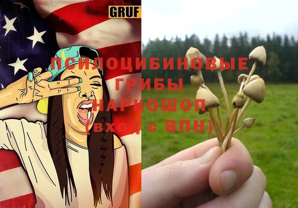 стаф Няндома