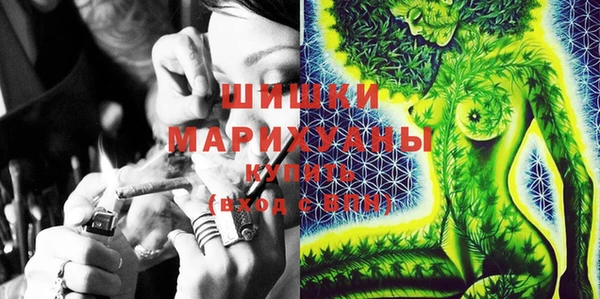 молекула духа Нязепетровск