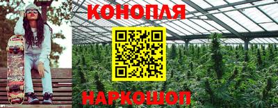 гидропоника Балашиха