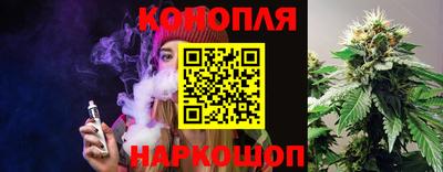 сатива Кулебаки