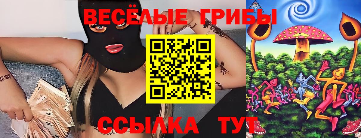 Псилоцибиновые грибы Psilocybine cubensis  Мытищи 