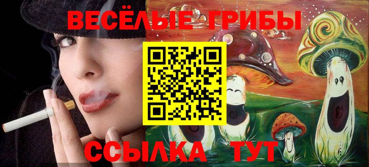 Псилоцибиновые грибы Psilocybe Мытищи