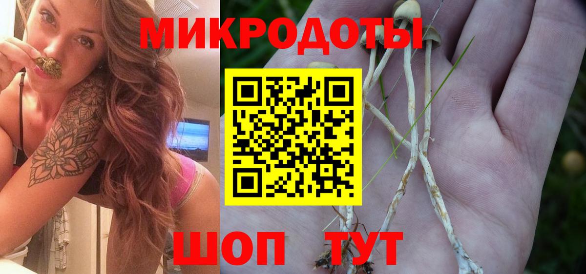 Мытищи  Псилоцибиновые грибы мицелий  где продают   Галлюциногенные грибы прущие грибы  Вход с VPN 